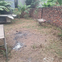 2,X Tỷ Sở Hữu Ngay 85M Đấy Full Thổ Cư Nằm Tại Bạch Đa, Kim Hoa, Mê Linh, Hà Nội.
