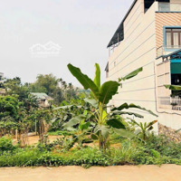 Đất Nghỉ Dưỡng Yên Bình Gần Đường Tỉnh Lộ Gần Chợ Trung Tâm Xã Gần Trường Học Quốc Gia Hà Nội