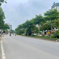 Nhà Phân Lô Vỉa Hè, Ô Tô Văn Phòng Gần Phố, Dương Nội, Lh Em 0867866882