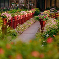 Bán Căn Liền Kề Hướng Đông Nam Giá Tốt Nhất Tại Dự Án Ecopark Vinh
