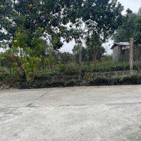 Bán 16M Mặt Đường Thôn 2, Ba Trại, Ba Vì, Hn. Cách Tl86 Chỉ Vài Trăm Mét, Giao Thông Cực Thuận Tiện
