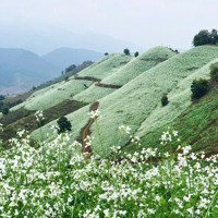Bán Căn Shophouse Nhà Phố Thương Mại, Cạnh Trung Tâm Nghệ Thuật, View Đẹp Tại Panacea Hill Mộc Châu