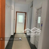 Siêu Phẩm Chdv 8 Tầng (Có Thang Máy) Mặt Tiền Đường Tân Hải, P13, Tb, 103M2, 12 Phòng Ngủ 12 Vệ Sinh 20.9 Tỷ Tl