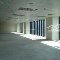 Cho Thuê Văn Phòng Hoàng Cầu - Đống Đa. Diện Tích Trống 230M2. Giá Cho Thuê 200 Nghìn/M2.