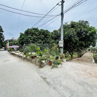 Hàng Hiếm Tại Xã Phụng Châu, Chương Mỹ, Hà Nội, 36 Triệu / M2, 56 M2