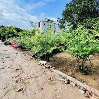 Hàng Hiếm Tại Xã Phụng Châu, Chương Mỹ, Hà Nội, 36 Triệu / M2, 56 M2
