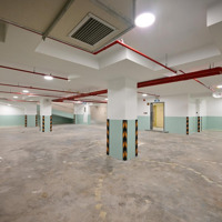 Cho Thuê Nguyên Căn Tòa Nhà 1X Trần Não Quận 2Diện Tích10X30M 2400M2 Sàn 1 Hầm 7 Tầng Giá Bán 500 Triệu