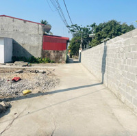 Bán Lô Đất Quỳnh Cư, Hùng Vương, Hồng Bàng 45M Giá Hơn 900 Triệu Liên Hệ: 0979087664