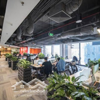 Bqlcho Thuê Văn Phòngtại Ecolife Tố Hữu Nam Từ Liêm 100~2000M2 Giá Chỉ 195K/M2/Th Đã Thẩm Duyệt Pccc