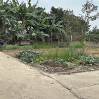 Bán Đất Tại Nhật Tảo, Đông Ngạc, Bắc Từ Liêm, Hà Nội, Giá Tốt Chỉ Với 8,7 Tỷ, 135M2
