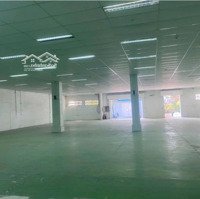Cho Thuê Kho Siêu Vip 258M Và 405M Vị Trí Đắc Địa Tại Đường Trường Sơn, P. 15, Quận 10.