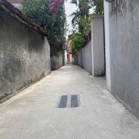 Chỉ 3 Tỷ Gần 60M2 Đất Tại Uy Nỗ Đông.anh-Ô Tô Vào Tận Đất