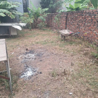 Đất Full Thổ Cư, Giáp Đất Đấu Giá Bạch Đa. Giáp Kđt Kim Hoa