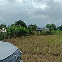 590 Triệu Đất Nền Giá Rẻ Công Nhân, Cách Đường 23 Chỉ 150M, Tại Nghĩa Thành, Châu Đức, Brvt