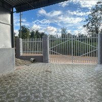 Bán Nhà Giá Rẻ Phù Hợp Cho Gia Đình Tài Chính Thấp Tại Xã Hiệp Thạnh, Chỉ 1.3 Tỷ