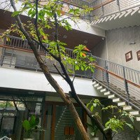 Bán Nhàhẽm Xe Hơikhu Vip Nguyễn Huy Tưởng, Phường 6, Q. Bình Thạnh. Dt: 9X13M Gồm Trệt, Lầu Giá Bán 20 Tỷ