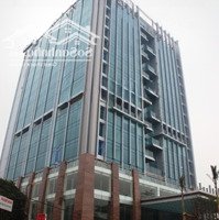 Chuyển Nhượng Văn Phòng Cao Cấp Trung Tâm Khu Vực Hoàng Cầu - Đống Đa