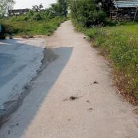 Bình phục thăng bình - bình hiệp 124
