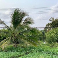 Đất Mặt Tiền Đường Tôn Đức Thắng Cách Trung Tâm Quận Ô Môn 1Km, Diện Tích: 44M X 100M = 4400M2 Giá 2. 8 Triệu/M
