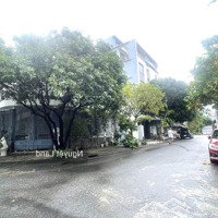 Bán Đất Hướng Đông Nam Siêu Hiếm Tại Khu Đt Nam Việt Á - Đường 7.5M Đa Phước 6