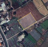 Chuyên Bán Đất Lớn Hóc Môn Làm Dự Án