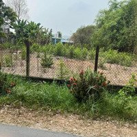 Bán Kho, Nhà Xưởng 1372M2 Tại Thới Tam Thôn, Hóc Môn, Giá Thỏa Thuận Siêu Hot