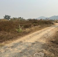 Bán Đất Tại Thủy An, Đông Triều, Quảng Ninh, Giá Thỏa Thuận, 1000M2