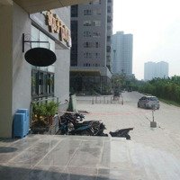 Chính Chủ Cần Cho Thuê Căn Hộ 3 Pn Diện Tích 111.6 M2 Nội Thất Cơ Bản. Văn Quán Hà Đông.