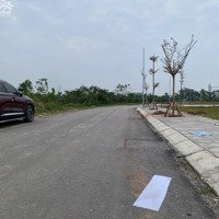Bán Đất Đấu Giá Tân Phú Quốc Oai . Diện Tích 85M2 Gần Chợ Đầu Mối Hoa Quả, Bên Cạnh Có Hồ Điều Hòa