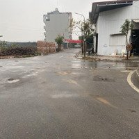 Lô Góc Vip Nhất Khu Đấu Giá X1 Hai Mặt Tiền Đông Nam Và Đông Bắc . Nằm Trên Trục Đường Đôi Của Khu