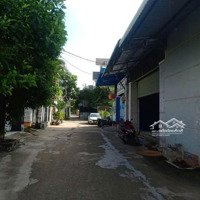 Cho Thuê Xưởng Thạnh Lộc 15 Quận 12. Dt: 8X26M Giá: 13 Triệu Ngay Ngã Tư Ga