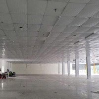 Mặt Bằng Siêu Phẩm Top 1 Nguyễn Văn Linh Dành Cho Thương Hiệu Lớn Và Độ Nhận Diện Cao Sát Cầu Rồng