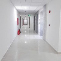 Cho Thuê Căn Topazhome2 67M2 3 Phòng Ngủ 2 Vệ Sinhnội Thất Cơ Bản Giá Bán 6 Triệu Cọc 1 Tháng