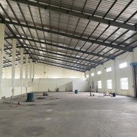 Cần Bán Khu Nhà Xưởng Đúc Hòa Lòng An 10000M