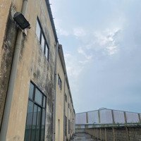 Cần Bán Khu Nhà Xưởng Đúc Hòa Lòng An 10000M