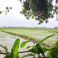 Đất View Hậu Lúa Cẩm Châu Hội An Cực Đẹp, Hơn 1000M2