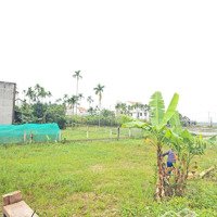 Đất View Hậu Lúa Cẩm Châu Hội An Cực Đẹp, Hơn 1000M2