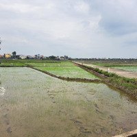 Đất View Hậu Lúa Cẩm Châu Hội An Cực Đẹp, Hơn 1000M2