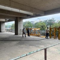 Thông Tin Chi Tiết Mở Bán Chung Cư Mới Platinum Ecosmart City Cổ Linh Long Biên