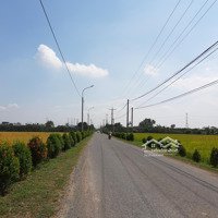 Bán 1,100M2 Đất Đep Vuông Vứt, Mặt Tiền Đưởng Nhựa Lớn Được Lên Thổ Cư Ngay.