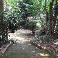 Bán 1,100M2 Đất Đep Vuông Vứt, Mặt Tiền Đưởng Nhựa Lớn Được Lên Thổ Cư Ngay.