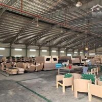 Cho thuê xưởng 16000m2 KCN Nhơn Trạch, Huyện Nhơn Trạch, Đồng Nai