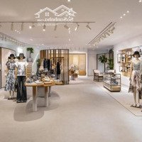 Cho Thuê Siêu Phẩm Nhà Mặt Phố Giảng Võ, Diện Tích: 80M2, Mặt Tiền: 10 M, Nhà Đẹp Thông Sàn
