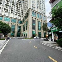 Cho Thuê Shophouse Tại Roman Plaza, 40 Triệu, 76M2, 4 Phòng Ngủ 4 Vệ Sinh Siêu Hot