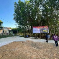 Lô Đất Đẹp 100% Đất Ở Xã Nghĩa Lâm, Tư Nghĩa, Quảng Ngãi, Giá Rẻ Nhất Khu Vực Này