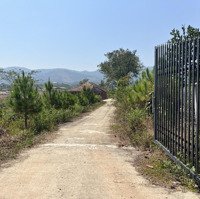Bán Đất Vườn Trà Đường Bê Tông 5M, 2600M2 - 1,95 Tỷ