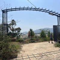 Bán Đất Vườn Trà Đường Bê Tông 5M, 2600M2 - 1,95 Tỷ