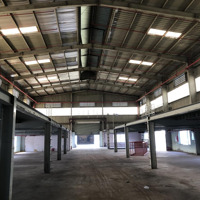 Cho Thuê Kho Riêng Lẻ 1000M2 Kcn Lòng Hậu Cần Giuộc Trần Cao, Pccc An Ninh Đầy Đủ