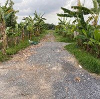 Bán Đất Xã Phước Vĩnh An Dt.2.574M2, Mục Đích Sử Dụng Là Hnk Và Clndiện Tích39X66 Giá 8 Triệu500 1Mv