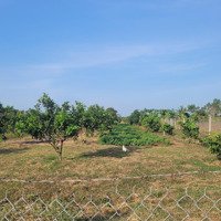 Bán Đất Vườn Đẹp, Nhiều Tiện Ích Tại Bình Giã, Châu Đức, Bà Rịa Vũng Tàu, 2,9 Tỷ, 4363 M2